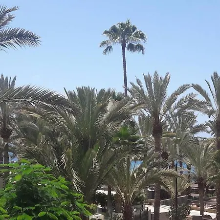 Guayero Palm View, Sea At 50m, At 100m Los Cristianos (Tenerife)