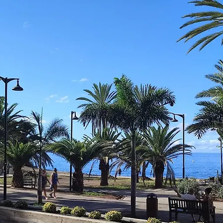 Guayero Palm View, Sea At 50m, At 100m