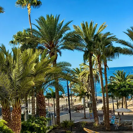 Guayero Palm View, Sea At 50m, At 100m Los Cristianos (Tenerife)