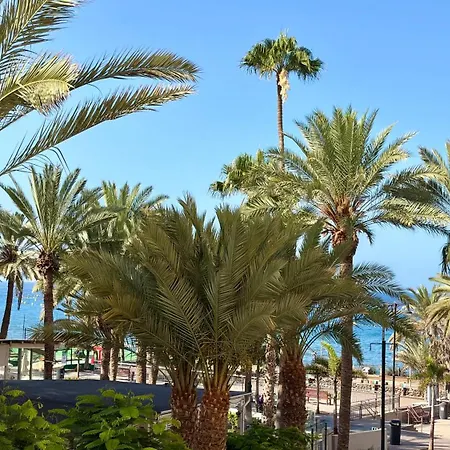 Guayero Palm View, Sea At 50m, At 100m Los Cristianos (Tenerife)