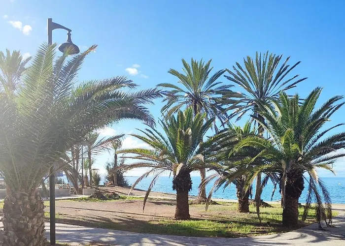 Guayero, Bel A 50m De La *