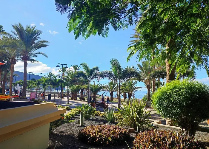 Guayero, Bel A 50m De La *