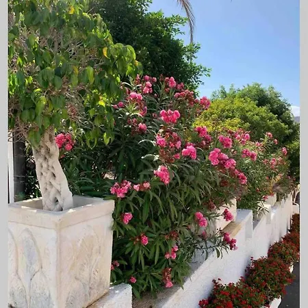 Appartement Guayero, Bel A 50m De La