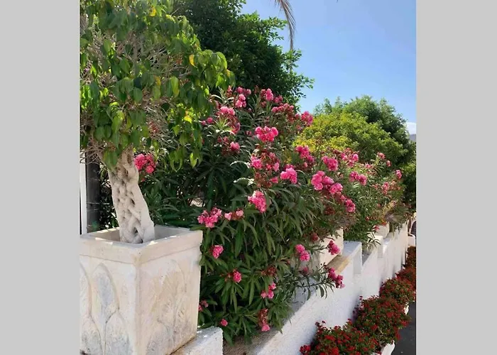 Apartment Guayero, Bel A 50m De La